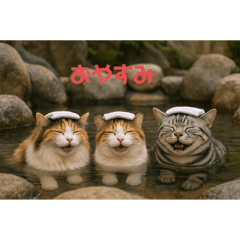 Three cats and an occasional dog