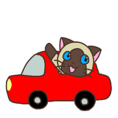 Seal point Siamese cat - go out