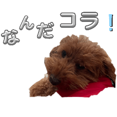 saku_20250429154610