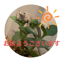 mimi_20250429155937