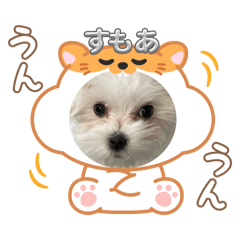 Sayu_20250429184920