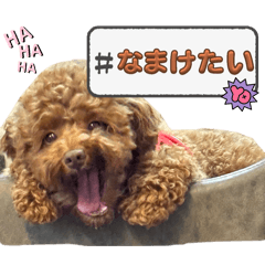 HANA_20250429185226