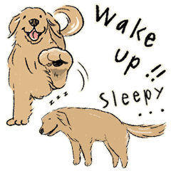 Every Day Dog ゴールデンレトリバー Line スタンプ Line Store Every Day Dog ゴールデンレトリバー Line スタンプ Line Store