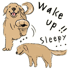 Every Day Dog Golden Retriever