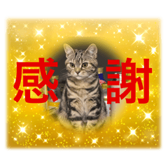 nori_20250429190108