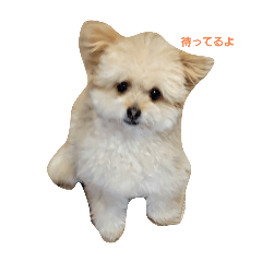 hide_20250429160335
