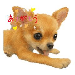 NAO_20250429174217