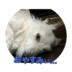 YUKO_20250429174413