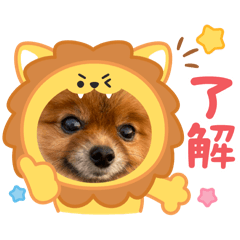 Moka_20250429182522