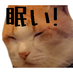 Yun_20250429205705