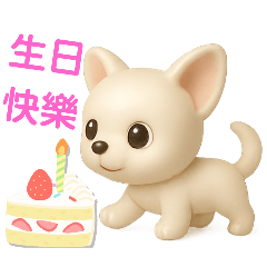 吉娃娃生活日常之2