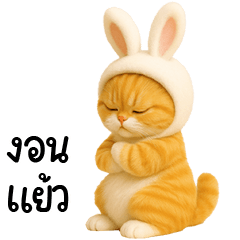 orange cat rabbit ears very cute