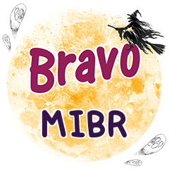 MIBR Bravo One word e