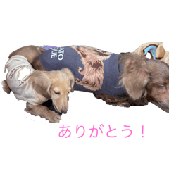 tjjmnm