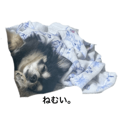 JK_20250429215641