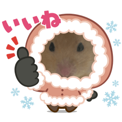 HAN_20250429220142