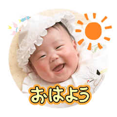 nobo_20250429175103