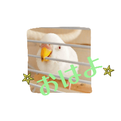RYU_20250429203508