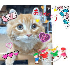 miyo_20250429204450