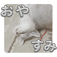 kouchan.neco