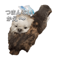 Iroha_20250429182814