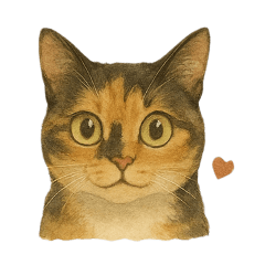 mipiboo