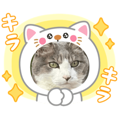 eririn_20250429235728
