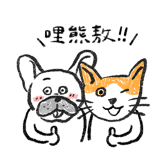 豆皮姆姆の日常