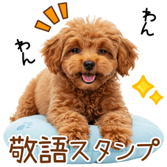 敬語で伝える♡トイプードル