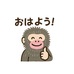 Crystal MONKEY