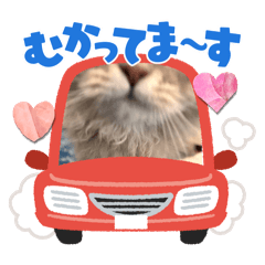 mayukaasan_20250429221750