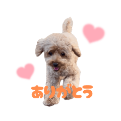 ponkichi_20250429220129