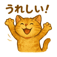 Tomo Cat Singapore