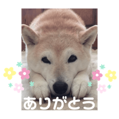 P_20250429215938