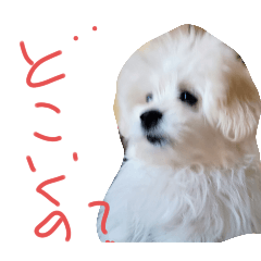 taka_20250430004853