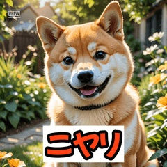 Shiba Mood Diary