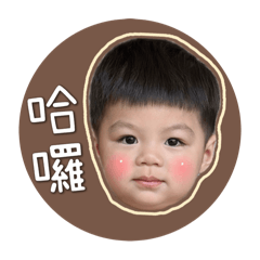 安安系列2025