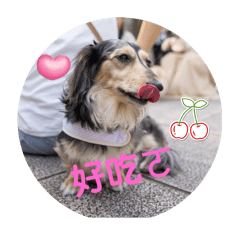 可愛的Nei和奶茶