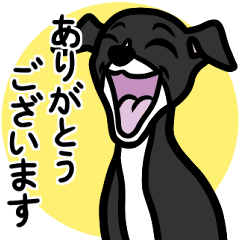 (Black2)puppy Italian greyhound sticker