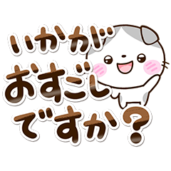 Sticker of Scottish Fold cat31