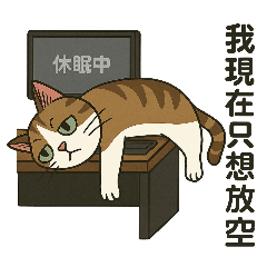 hujiangMa_20250429150540