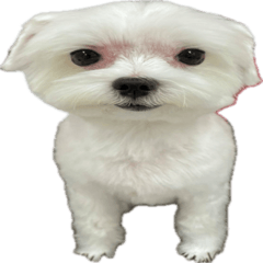 Kanbee cutout