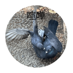 BOU N INNGE NN_20250429174110
