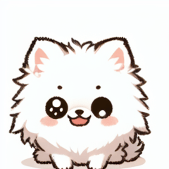 White Pomera