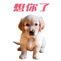 Daily chat cute stickers2