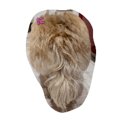 niton_20250429205010