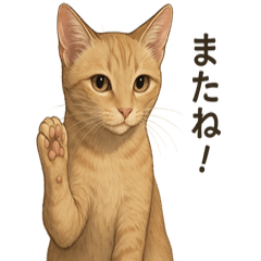 保護猫チャオ～気ままに使えるスタンプ2～