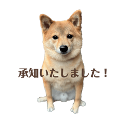 DRAGON FLY_20250430093149