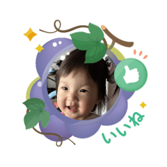 SAWA_20250430101729