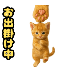 ❤︎あかにゃん❤︎茶虎………………..